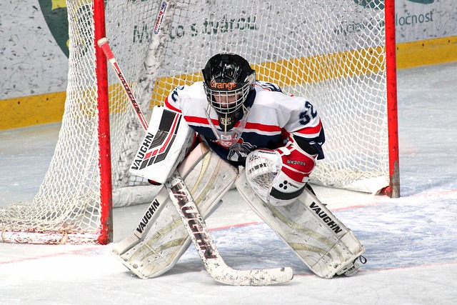 后卫莫斯克 后卫莫斯克